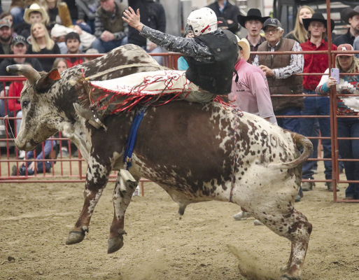 Gateway to Sandhills Bullride