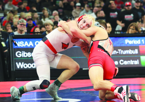 Three Cardinals earn state mat medals