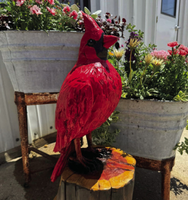 The Albion Chamber of Commerce and the Albion/Boone Central Alumni group raffled off a large carved Cardinal during the street dance last week helping to raise funds for both organizations. During the live auction event, Mandy and Greg Luettel were named the new owners after the bidding died down. The proceeds of the auction will go to the Alumni group to help fund scholarships and the Albion Chamber to help with the fireworks on July 4.