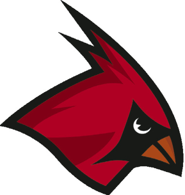 Alt Text for Image