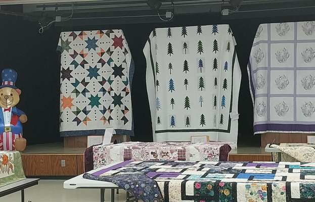 48 Award-winning quilt and craft items at the 2025 Loup Trail DAR Quilt Show.