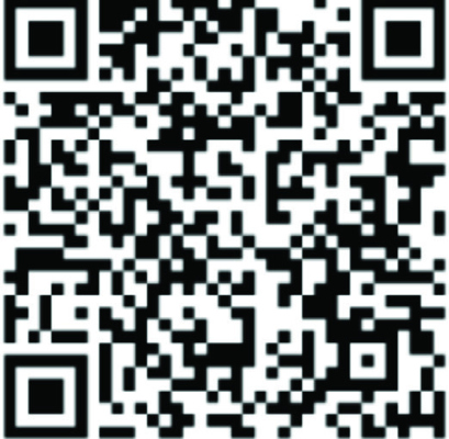 Alt Text for Image