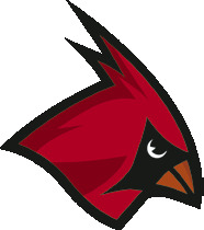 Alt Text for Image