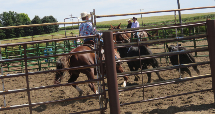 A penning event fundraiser was held in Elgin last week.