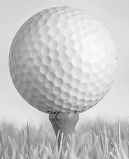 Alt Text for Image