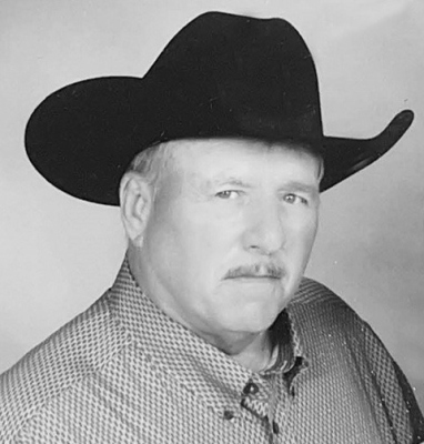 Terry E. Mailan