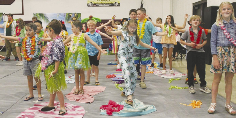 Hawaiian theme for spring program